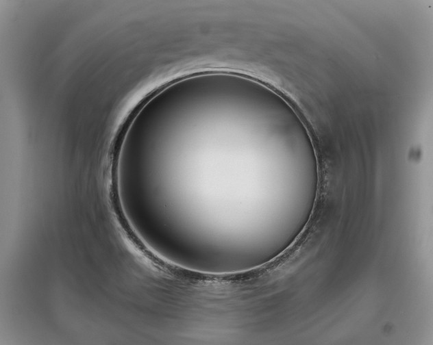 X0000097611511200803071439