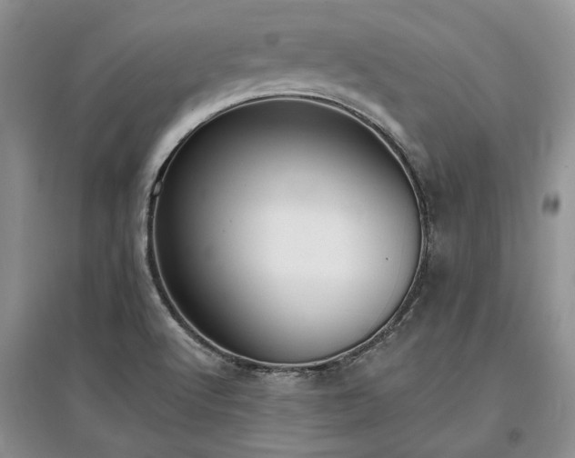 X0000097611512200803071439