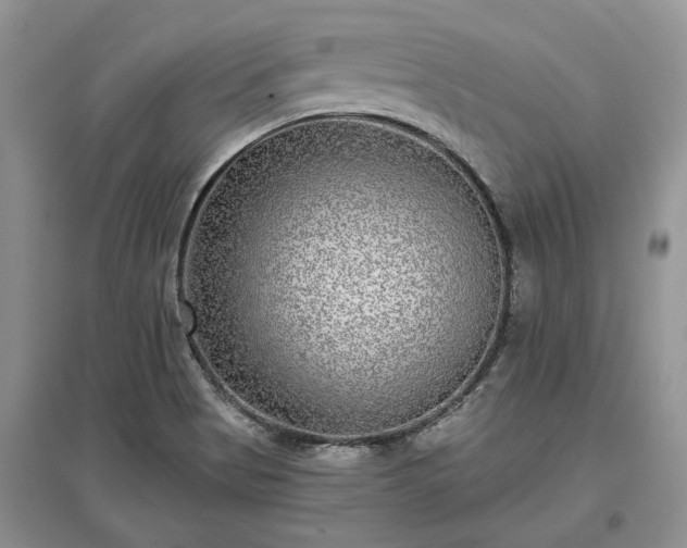 X0000097611513200803071439