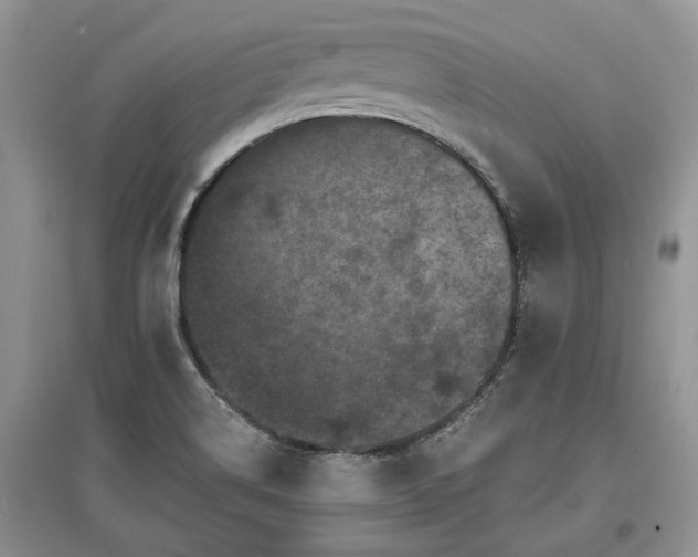 X0000097611514200803071439