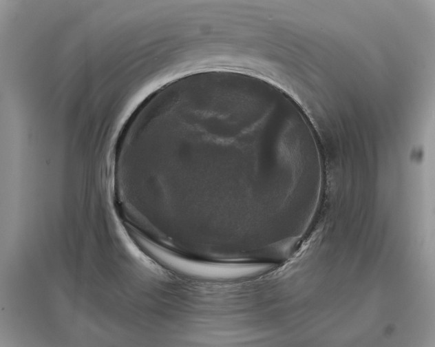 X0000097611515200803071439