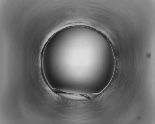 X0000097611516200803071439