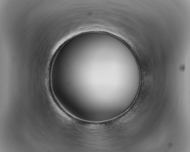 X0000097611518200803071439