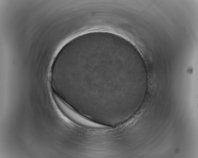 X0000097611519200803071439