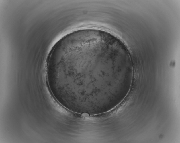 X0000097611522200803071439