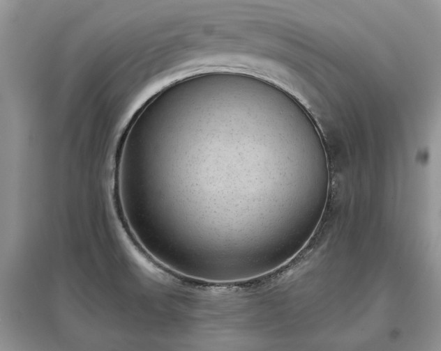 X0000097611523200803071439