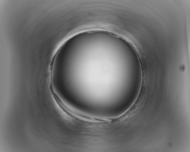 X0000097611524200803071439