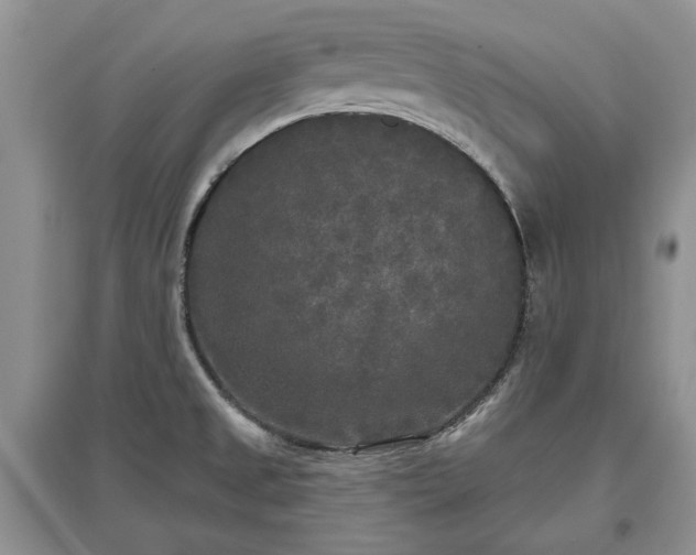 X0000097611525200803071439