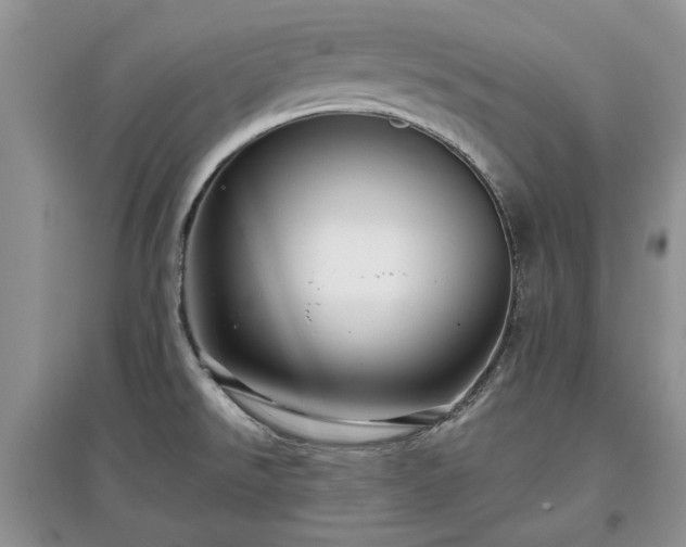 X0000097611526200803071439