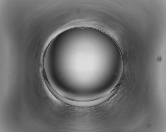 X0000097611528200803071439