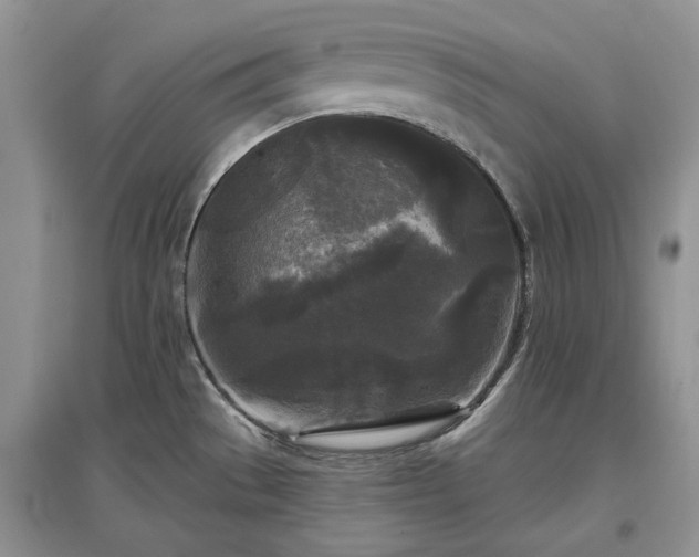 X0000097611529200803071439