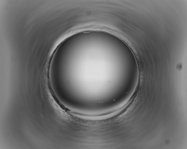 X0000097611530200803071439