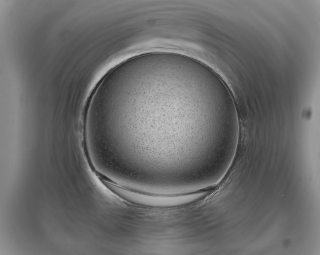 X0000097611531200803071439