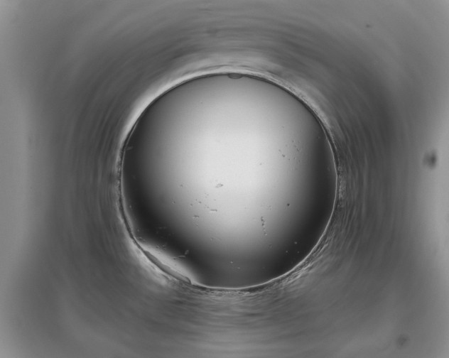 X0000097611532200803071439
