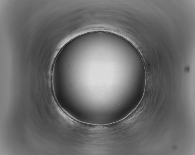 X0000097611535200803071439