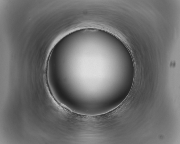 X0000097611536200803071439
