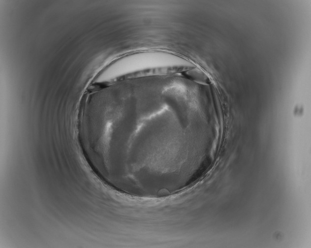 X0000097610002200803141950