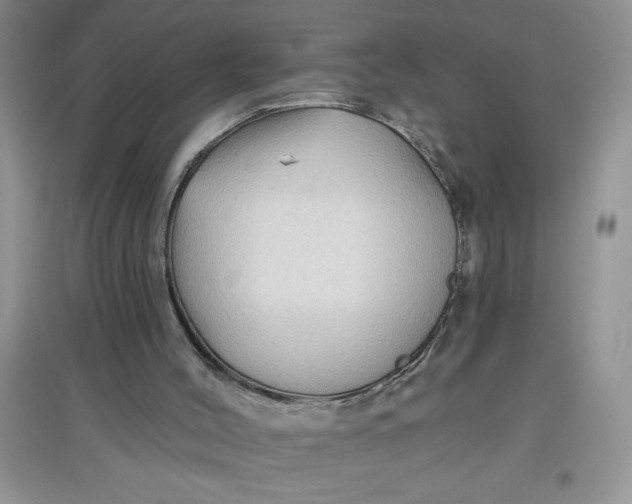 X0000097610004200803141950