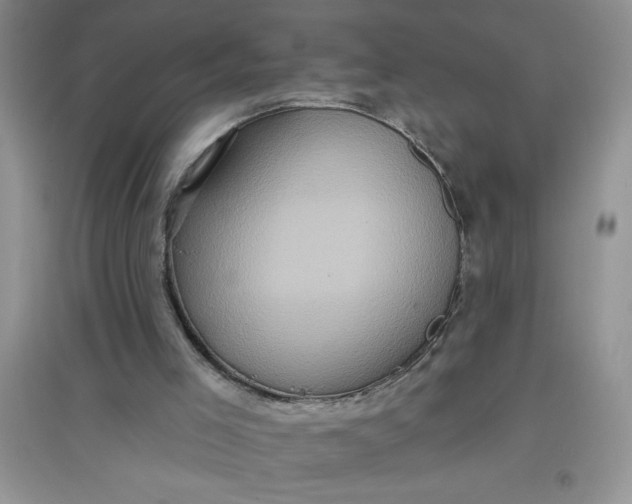 X0000097610005200803141950