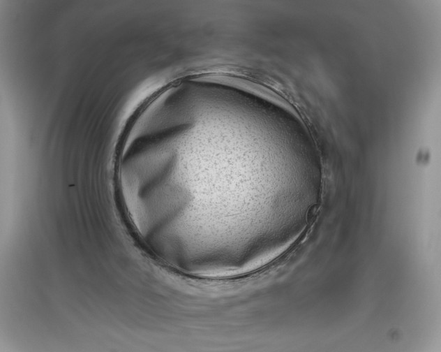 X0000097610006200803141950