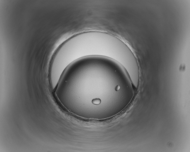 X0000097610008200803141950