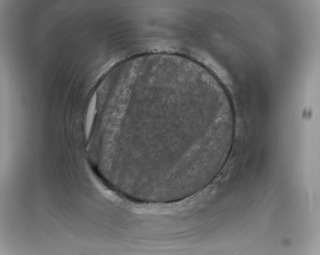 X0000097610009200803141950