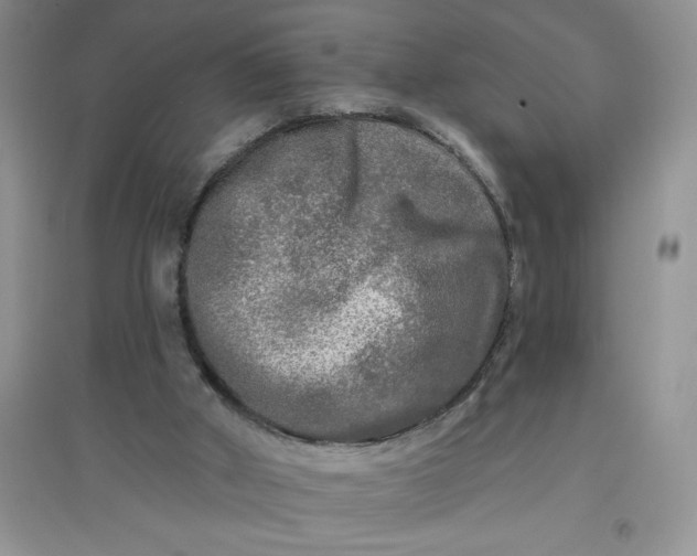 X0000097610010200803141950