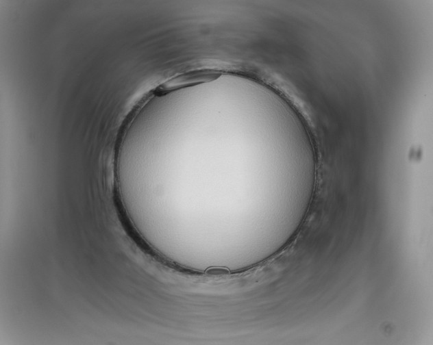 X0000097610011200803141950