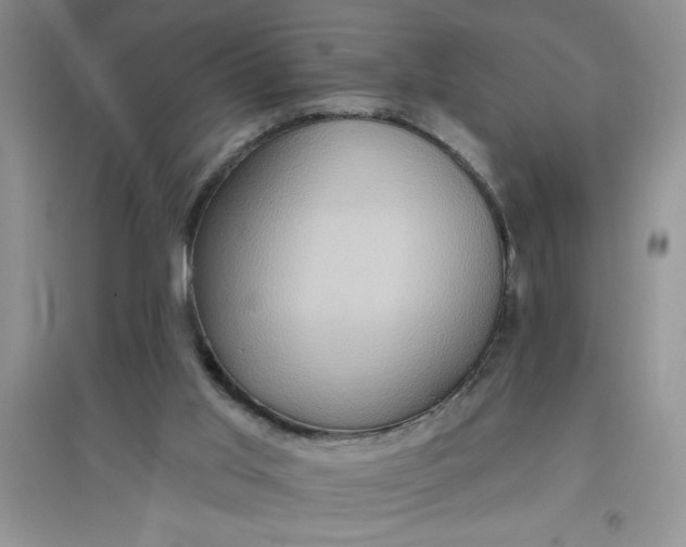 X0000097610013200803141950