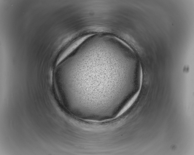 X0000097610014200803141950