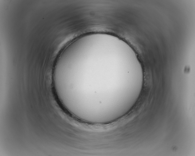 X0000097610015200803141950