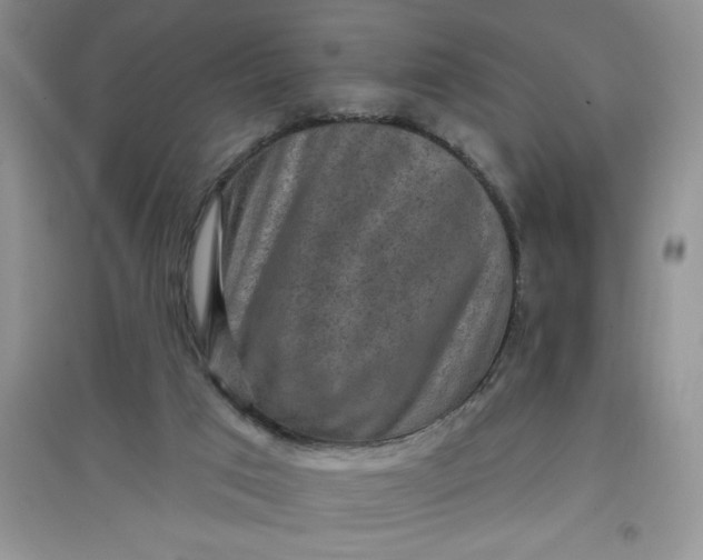 X0000097610017200803141950