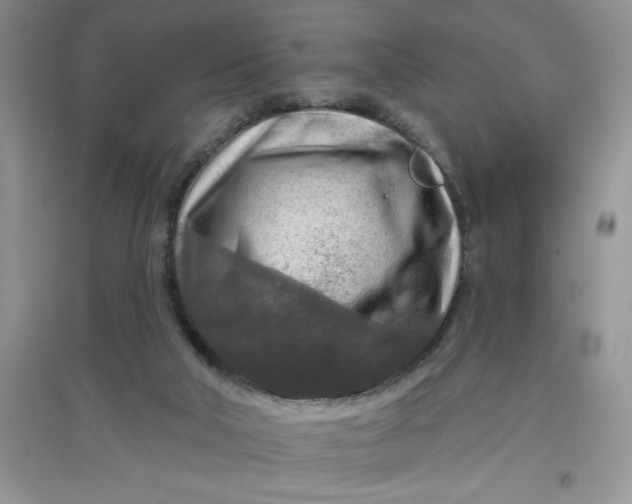 X0000097610018200803141949