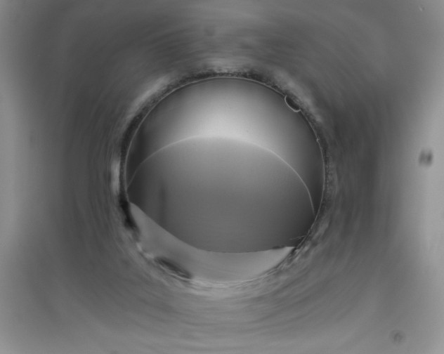 X0000097610019200803141949