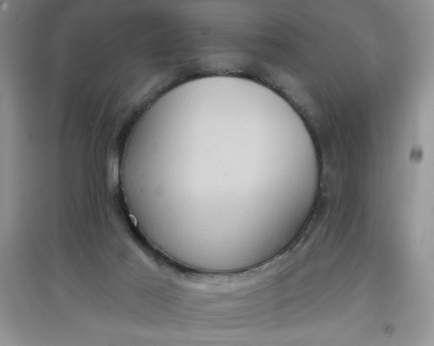 X0000097610021200803141949