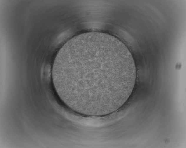 X0000097610024200803141949