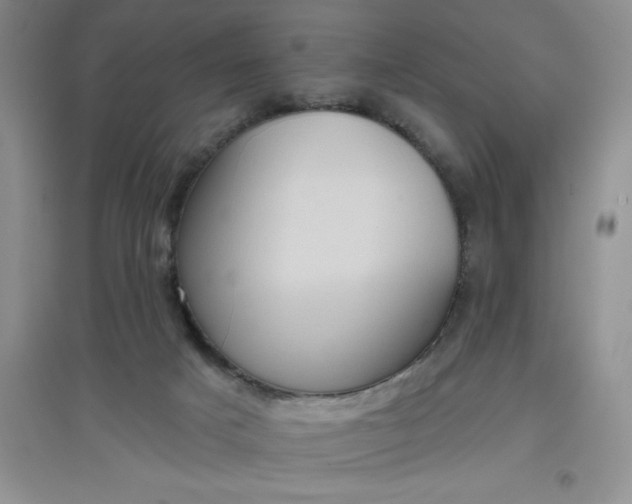 X0000097610025200803141949