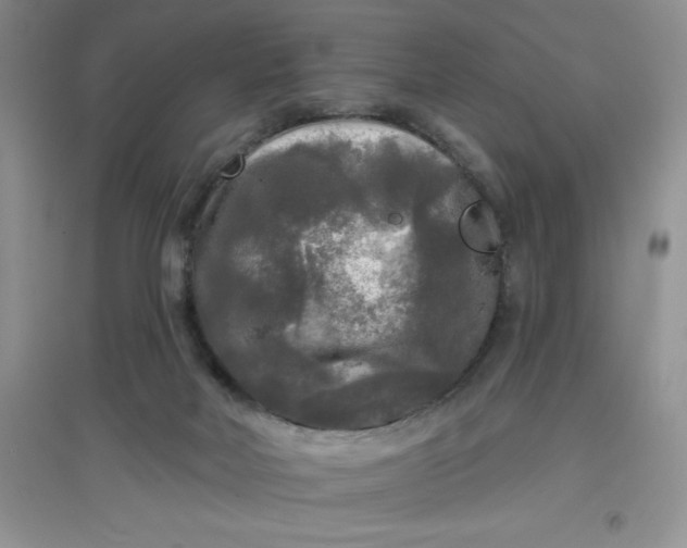 X0000097610026200803141949