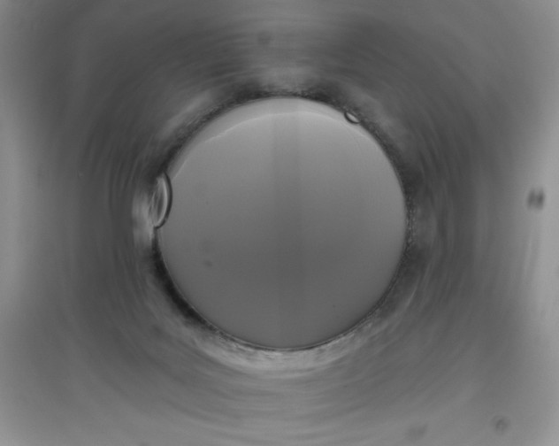 X0000097610027200803141949