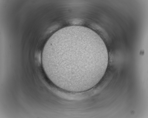 X0000097610028200803141949