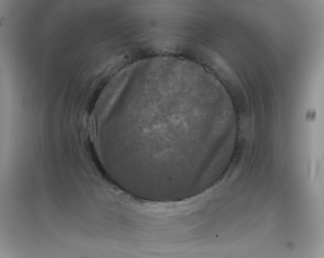 X0000097610029200803141949