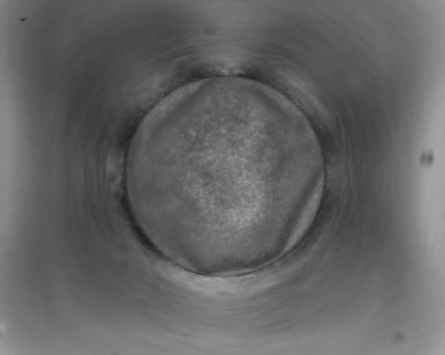 X0000097610030200803141949