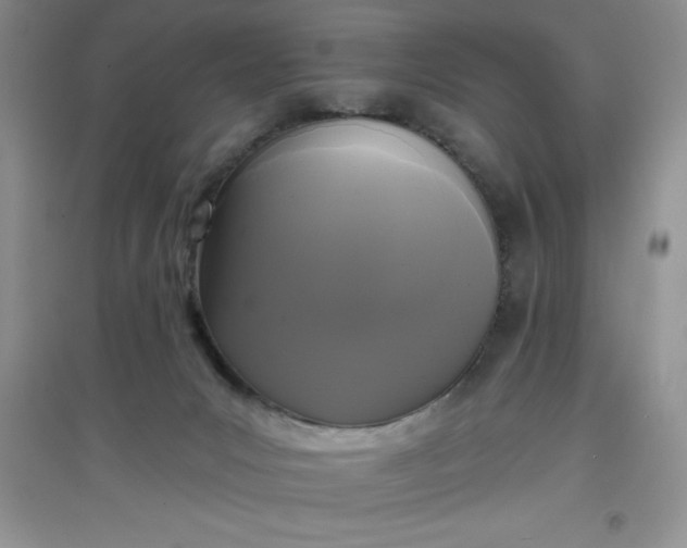 X0000097610031200803141949