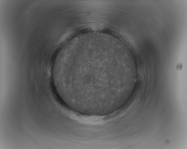 X0000097610032200803141949