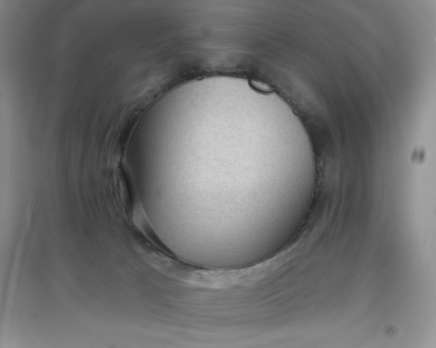 X0000097610033200803141949