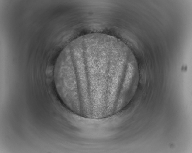 X0000097610034200803141949