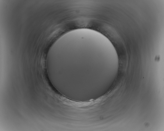 X0000097610035200803141949