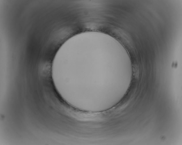 X0000097610036200803141949