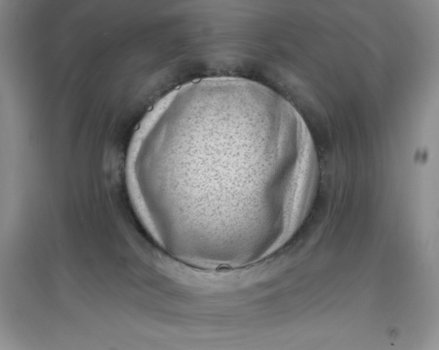 X0000097610038200803141949