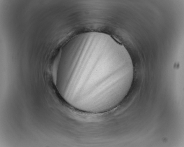 X0000097610040200803141949